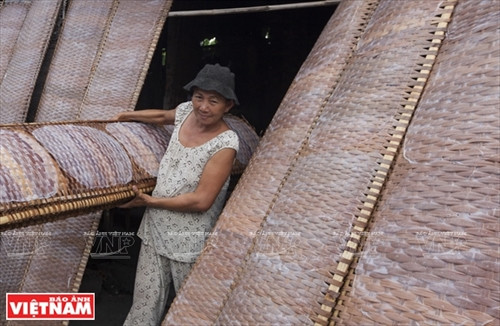 Việc phơi bánh cũng phải được tính toán kỹ để bánh tráng được phơi đủ nắng.