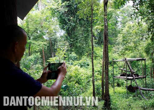 Phóng viên tham gia khóa tập huấn thực hành tác nghiệp bằng điện thoại thông minh tại Vườn Quốc gia Cát Tiên Phóng viên tham gia khóa tập huấn thực hành tác nghiệp bằng điện thoại thông minh tại Vườn Quốc gia Cát Tiên