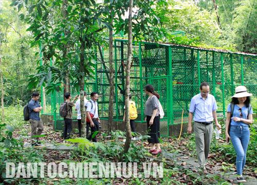 Các phóng viên tham gia khóa tập huấn thực hành tác nghiệp tại Vườn Quốc gia Cát Tiên Các phóng viên tham gia khóa tập huấn thực hành tác nghiệp tại Vườn Quốc gia Cát Tiên