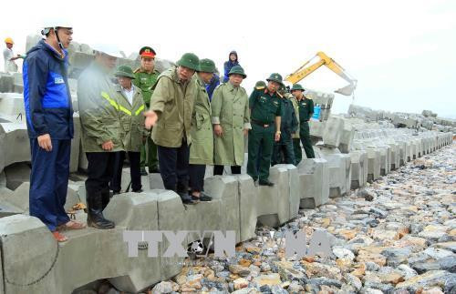 Bộ trưởng Bộ Nông nghiệp và Phát triển nông thôn, Trưởng Ban Chỉ đạo Trung ương về Phòng chống thiên tai Nguyễn Xuân Cường kiểm tra công tác phòng chống bão số 4 tại khu vực đê Gia Lộc, huyện Cát Hải. Ảnh: An Đăng - TTXVN Bộ trưởng Bộ Nông nghiệp và Phát triển nông thôn, Trưởng Ban Chỉ đạo Trung ương về Phòng chống thiên tai Nguyễn Xuân Cường kiểm tra công tác phòng chống bão số 4 tại khu vực đê Gia Lộc, huyện Cát Hải. Ảnh: An Đăng - TTXVN