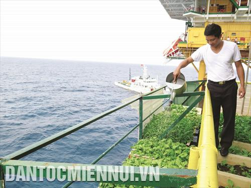 Chiến sĩ Nhà giàn DK1-8 chăm sóc vườn rau xanh