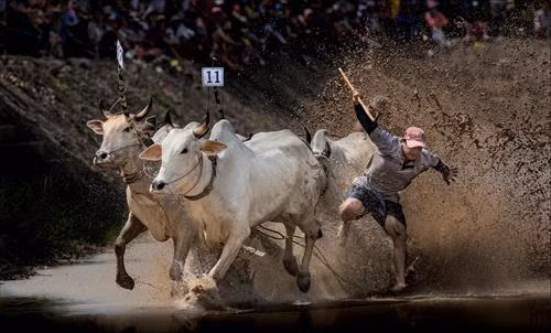 Về miền sông nước An Giang ảnh 11