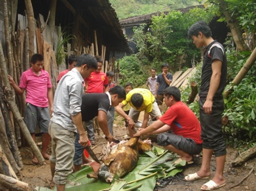 Người Lô Lô đen xóm Khuổi Khon, xã Kim Cúc , huyện Bảo Lạc( Cao Bằng) thịt bê làm lễ cúng sức khỏe. Người Lô Lô đen xóm Khuổi Khon, xã Kim Cúc , huyện Bảo Lạc( Cao Bằng) thịt bê làm lễ cúng sức khỏe.