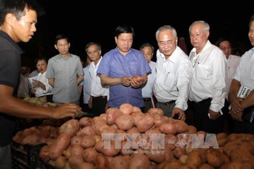 Bí thư Thành ủy Đinh La Thăng thị sát tại chợ đầu mối Hóc Môn. Ảnh: Thanh Vũ-TTXVN