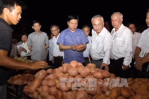 Bí thư Thành ủy Đinh La Thăng thị sát tại chợ đầu mối Hóc Môn. Ảnh: Thanh Vũ-TTXVN