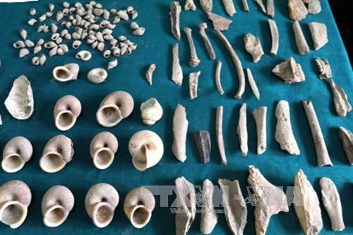 Khai quật di chỉ tiền sử hang Pắc Tà ảnh 6