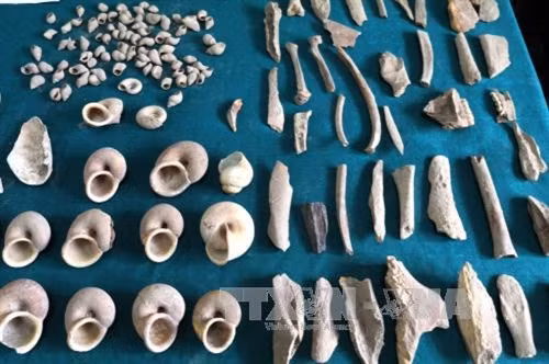 Khai quật di chỉ tiền sử hang Pắc Tà ảnh 6