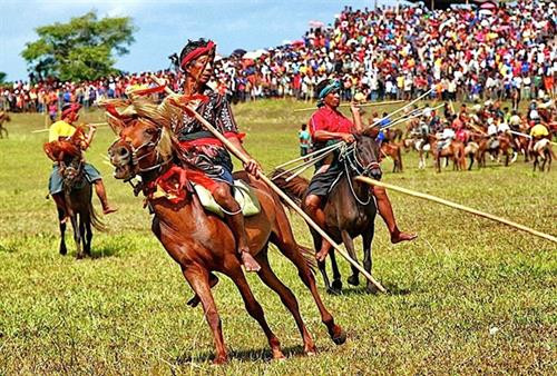 Khoảng 50 người đàn ông chia làm hai phe, mặc trang phục truyền thống cưỡi ngựa, cầm gậy, lao đâm vào nhau trong lễ hội Pasola. Ảnh: Indonesia Travel Database. Khoảng 50 người đàn ông chia làm hai phe, mặc trang phục truyền thống cưỡi ngựa, cầm gậy, lao đâm vào nhau trong lễ hội Pasola. Ảnh: Indonesia Travel Database.