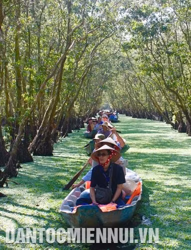 Mỗi năm, Khu du lịch rừng tràm Trà Sư thu hút hàng nghìn lượt du khách. Ảnh: Thanh Sang