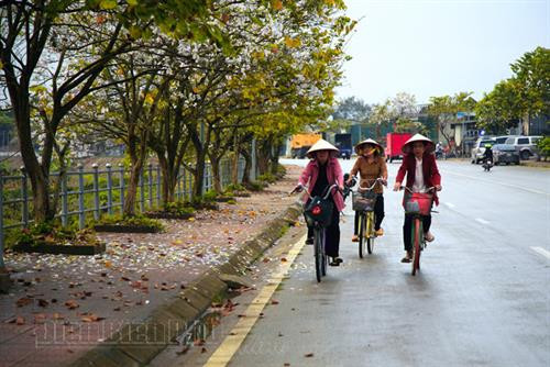Thung lũng mây trên đỉnh đèo Pha Đin. Khung cảnh thanh bình trên cánh đồng Mường Thanh. Ảnh: V.T.C Bản của người Khơ Mú (xã Keo Lôm, huyện Điện Biên Đông). Ảnh: V.T.C Một góc thị xã Mường Lay. Ảnh: V.T.C Thung lũng Nậm Cổ Hú (xã Thanh Nưa, huyện Điện Biên). Ảnh: V.T.C Mùa hoa ban nở. Ảnh: V.T.C Đây là loại hoa đặc trưng ở vùng Tây Bắc. Ảnh: V.T.C Hoa ban tràn ngập khắp bản làng Điện Biên. Ảnh: V.T.C Vẻ đẹp tinh khiết, mong manh của hoa ban làm say đắm lòng người. Ảnh: V.T.C Hoa ban ngợp trên phố. Ảnh: V.T.C Loài hoa trắng này gắn với câu chuyện về một tình yêu bất tử nơi núi rừng. Ảnh: V.T.C Thung lũng mây trên đỉnh đèo Pha Đin. Khung cảnh thanh bình trên cánh đồng Mường Thanh. Ảnh: V.T.C Bản của người Khơ Mú (xã Keo Lôm, huyện Điện Biên Đông). Ảnh: V.T.C Một góc thị xã Mường Lay. Ảnh: V.T.C Thung lũng Nậm Cổ Hú (xã Thanh Nưa, huyện Điện Biên). Ảnh: V.T.C Mùa hoa ban nở. Ảnh: V.T.C Đây là loại hoa đặc trưng ở vùng Tây Bắc. Ảnh: V.T.C Hoa ban tràn ngập khắp bản làng Điện Biên. Ảnh: V.T.C Vẻ đẹp tinh khiết, mong manh của hoa ban làm say đắm lòng người. Ảnh: V.T.C Hoa ban ngợp trên phố. Ảnh: V.T.C Loài hoa trắng này gắn với câu chuyện về một tình yêu bất tử nơi núi rừng. Ảnh: V.T.C