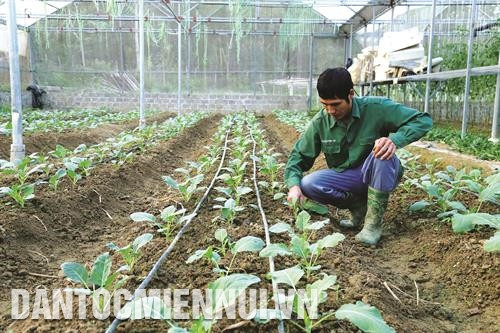 Việc phát triển các mô hình nông nghiệp đã góp phần làm thay đổi tư duy sản xuất cũ, lạc hậu trước đây.