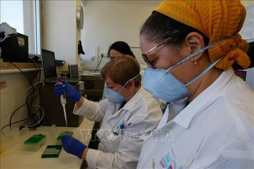 Nhân viên y tế xét nghiệm các mẫu bệnh phẩm COVID-19 tại một phòng thí nghiệm ở thành phố Ashkelon, Israel ngày 29/3/2020. Ảnh: THX/TTXVN Nhân viên y tế xét nghiệm các mẫu bệnh phẩm COVID-19 tại một phòng thí nghiệm ở thành phố Ashkelon, Israel ngày 29/3/2020. Ảnh: THX/TTXVN