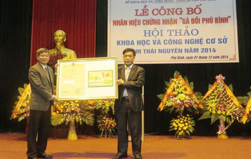 Gà đồi Phú Bình trở thành thương hiệu mạnh ảnh 1 Gà đồi Phú Bình trở thành thương hiệu mạnh ảnh 1