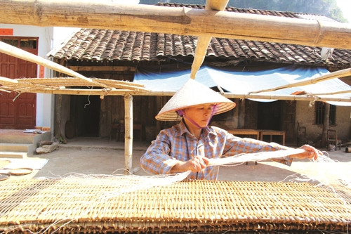 Miến dong "được nắng" sợi dai, trắng và ngon