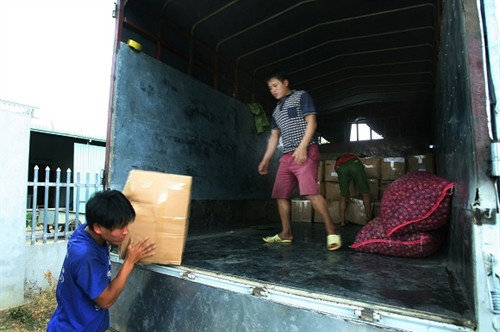 Mận hậu giúp người Mộc Châu thoát nghèo ảnh 3