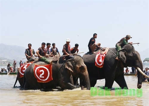 Voi thi chạy dưới nước