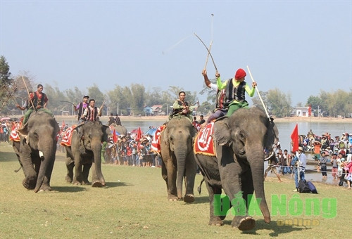 Voi thi chạy trên cạn