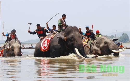 Voi thi chạy dưới nước