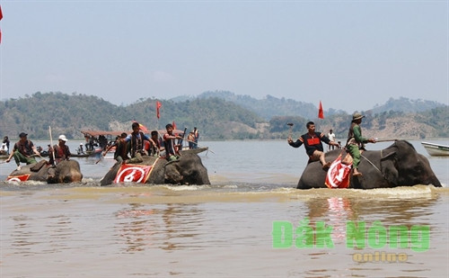 Voi thi chạy dưới nước