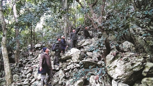 Khắc phục địa hình hiểm trở, các lực lượng tuần rừng luôn hoàn thành tốt nhiệm vụ