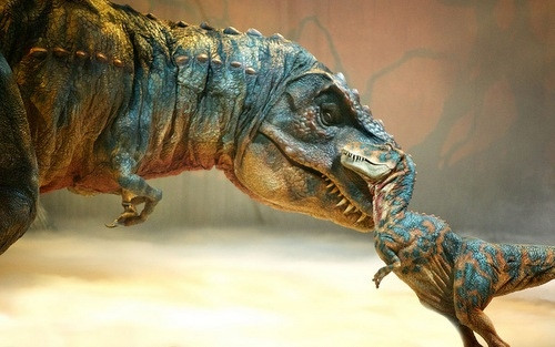 Khủng long bạo chúa được cho là có phần mũi rất nhạy cảm. Ảnh: Dinosaurlive.