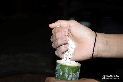 Theo kinh nghiệm của ngườiThái ở huyện Tương Dương (Nghệ An), để làm được "bong khàu lám" (cơm lam) ngon phải mất nhiều công đoạn. Trước hết, phải chọn được cây tre gai - một loại cây mọc tự nhiên trong các khu rừng. Khi chọn cây tre làm ống lam, người ta thường chọn những cây không quá già và cũng không quá non bởi đây là những cây đang trong giai đoạn chuyển từ măng thành cây. Ảnh: Lữ Phú Ưu tiên lựa chọn vẫn là những cây có đốt ống dài, thẳng đẹp, không bị sâu, chặt bỏ một đầu mắt, tạo thành ống có đáy. Loại tre được người Thái tìm chọn để lam cơm là loại tre khi cơm lam chín, bóc hết lớp vỏ tre cứng còn để lại một lớp màng mỏng bao bọc lấy phần cơm đã chín, vì thế khi cầm cơm không bị dính vào da tay, khi ăn có vị ngọt của tre, vị thơm của nếp mới. Đây cũng là điểm khác biệt của tre gai so với cây nứa khi dùng để lam cơm. Ngoài ra, ống lam từ cây tre có lớp vỏ dày hơn nên khi lam không sợ cơm bị cháy như các loại ống khác. Ảnh: Lữ Phú Gạo để làm cơm lam là gạo nếp mới được thu hoạch trên nương về, có thể là nếp trắng hoặc nếp cẩm thơm ngon. Trước khi cho gạo vào ống lam, người ta thường cho một ít nước vào trước, sau đó cho gạo vào ống và đổ nước đầy miệng ống ngâm qua đêm. Trước khi lam, miệng ống tre được nút bằng lá chuối rừng để khi lam cơm không bị nghe mùi khói và vẫn giữ nguyên được hương vị của nếp mới hòa quyện với mùi thơm của ống lam. Ảnh: Lữ Phú Khi lam cơm cũng cần phải khéo tay, giữ lửa sao cho ống lam không bị cháy và cơm trong ống được chín. Khi lam, lửa phải to và thực hiện lam từ đáy ống lên hoặc miệng ống xuống, tùy từng nơi khác nhau và luôn trở ống đều tay để cơm lam chín đều và không bị sượng. Lam khi nào ống cháy sém, có mùi cơm nếp tỏa ra là dấu hiệu cơm đã chín. Ảnh: Lữ Phú Trước khi ăn, dùng dao chẻ bỏ lớp vỏ ngoài đã bị nướng cháy, sau đó tước lớp vỏ dày, chỉ để lại một lớp mỏng màu trắng bên trong thấy cơm lam định hình ở dạng ống đặc và được bao quanh một lớp màng mỏng màu trắng của ruột tre. Ảnh: Lữ Phú Khi đã chín, bóc hết vỏ cứng của tre, còn lại một lớp màng giấy mỏng giúp cơm không dính vào da tay. Cơm lam là món ăn mang nhiều ý nghĩa tâm linh. Đồng bào Thái thường có quan niệm nhờ mưa thuận, gió hòa, mùa màng mới tươi tốt, mới có được hạt gạo dẻo thơm để làm cơm lam. Ảnh: Lữ Phú Theo kinh nghiệm của ngườiThái ở huyện Tương Dương (Nghệ An), để làm được "bong khàu lám" (cơm lam) ngon phải mất nhiều công đoạn. Trước hết, phải chọn được cây tre gai - một loại cây mọc tự nhiên trong các khu rừng. Khi chọn cây tre làm ống lam, người ta thường chọn những cây không quá già và cũng không quá non bởi đây là những cây đang trong giai đoạn chuyển từ măng thành cây. Ảnh: Lữ Phú Ưu tiên lựa chọn vẫn là những cây có đốt ống dài, thẳng đẹp, không bị sâu, chặt bỏ một đầu mắt, tạo thành ống có đáy. Loại tre được người Thái tìm chọn để lam cơm là loại tre khi cơm lam chín, bóc hết lớp vỏ tre cứng còn để lại một lớp màng mỏng bao bọc lấy phần cơm đã chín, vì thế khi cầm cơm không bị dính vào da tay, khi ăn có vị ngọt của tre, vị thơm của nếp mới. Đây cũng là điểm khác biệt của tre gai so với cây nứa khi dùng để lam cơm. Ngoài ra, ống lam từ cây tre có lớp vỏ dày hơn nên khi lam không sợ cơm bị cháy như các loại ống khác. Ảnh: Lữ Phú Gạo để làm cơm lam là gạo nếp mới được thu hoạch trên nương về, có thể là nếp trắng hoặc nếp cẩm thơm ngon. Trước khi cho gạo vào ống lam, người ta thường cho một ít nước vào trước, sau đó cho gạo vào ống và đổ nước đầy miệng ống ngâm qua đêm. Trước khi lam, miệng ống tre được nút bằng lá chuối rừng để khi lam cơm không bị nghe mùi khói và vẫn giữ nguyên được hương vị của nếp mới hòa quyện với mùi thơm của ống lam. Ảnh: Lữ Phú Khi lam cơm cũng cần phải khéo tay, giữ lửa sao cho ống lam không bị cháy và cơm trong ống được chín. Khi lam, lửa phải to và thực hiện lam từ đáy ống lên hoặc miệng ống xuống, tùy từng nơi khác nhau và luôn trở ống đều tay để cơm lam chín đều và không bị sượng. Lam khi nào ống cháy sém, có mùi cơm nếp tỏa ra là dấu hiệu cơm đã chín. Ảnh: Lữ Phú Trước khi ăn, dùng dao chẻ bỏ lớp vỏ ngoài đã bị nướng cháy, sau đó tước lớp vỏ dày, chỉ để lại một lớp mỏng màu trắng bên trong thấy cơm lam định hình ở dạng ống đặc và được bao quanh một lớp màng mỏng màu trắng của ruột tre. Ảnh: Lữ Phú Khi đã chín, bóc hết vỏ cứng của tre, còn lại một lớp màng giấy mỏng giúp cơm không dính vào da tay. Cơm lam là món ăn mang nhiều ý nghĩa tâm linh. Đồng bào Thái thường có quan niệm nhờ mưa thuận, gió hòa, mùa màng mới tươi tốt, mới có được hạt gạo dẻo thơm để làm cơm lam. Ảnh: Lữ Phú