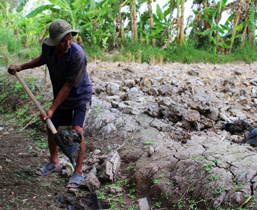 Ông Nguyễn Văn Thơm ở ấp 15, xã Khánh Lâm, huyện U Minh (Cà Mau) phải đi đào đất mướn để có tiền sinh sống sau khi bị lừa. Ông Nguyễn Văn Thơm ở ấp 15, xã Khánh Lâm, huyện U Minh (Cà Mau) phải đi đào đất mướn để có tiền sinh sống sau khi bị lừa.