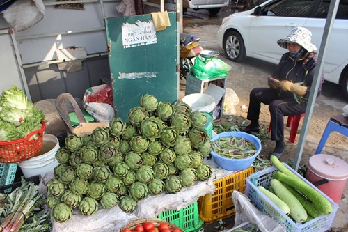 Atisô tươi được bán ở khắp các chợ lớn, nhỏ tại thành phố Đà Lạt.
