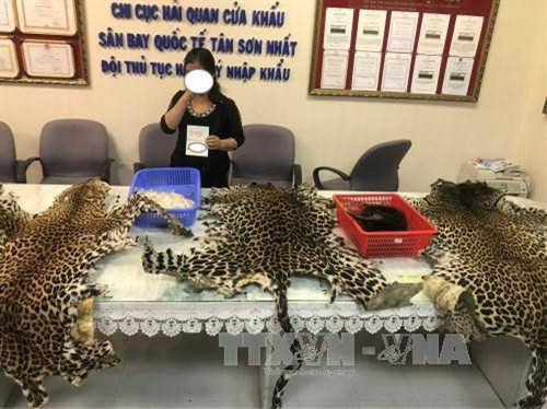 Đối tượng và tang vật bị thu giữ. Ảnh: Anh Tuấn - TTXVN Đối tượng và tang vật bị thu giữ. Ảnh: Anh Tuấn - TTXVN