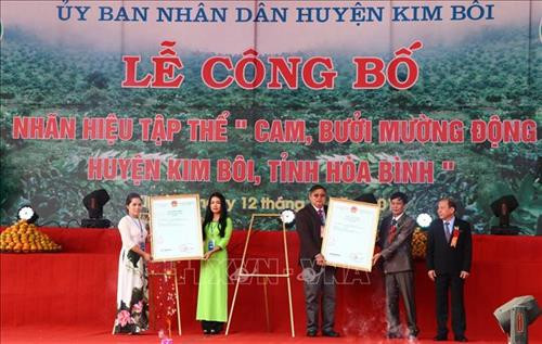 Trao giấy chứng nhận đăng ký nhãn hiệu tập thể cam, bưởi Mường Động. Ảnh: Thanh Hải - TTXVN Trao giấy chứng nhận đăng ký nhãn hiệu tập thể cam, bưởi Mường Động. Ảnh: Thanh Hải - TTXVN
