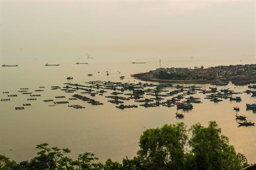 Nghi Sơn giàu tiềm năng du lịch ảnh 10 Nghi Sơn giàu tiềm năng du lịch ảnh 10