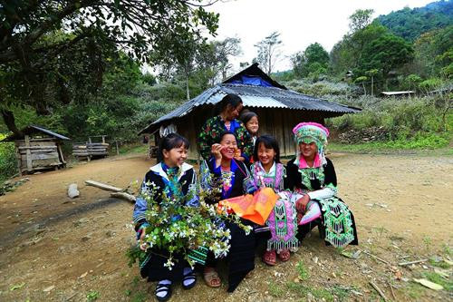 Những thiếu nữ dân tộc Mông ở vùng cao tỉnh Điện Biên. Ảnh: Phan Tuấn Anh - TTXVTN Những thiếu nữ dân tộc Mông ở vùng cao tỉnh Điện Biên. Ảnh: Phan Tuấn Anh - TTXVTN
