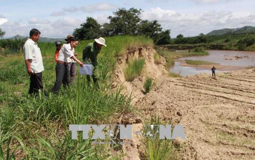 Bờ sông Krông Bông bị sạt lở làm mất hàng chục ha đất sản xuất của người dân xã Hòa Phong, huyện Krông Bông. Ảnh: Phạm Cường-TTXVN