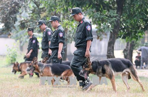 Lực lượng chó nghiệp vụ đang tập luyện những bài tập cơ bản. Ảnh: Quang Nhựt - TTXVN Lực lượng chó nghiệp vụ đang tập luyện những bài tập cơ bản. Ảnh: Quang Nhựt - TTXVN