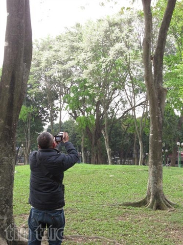 Hẹn gặp lại, sắc trắng hoa sưa ảnh 8