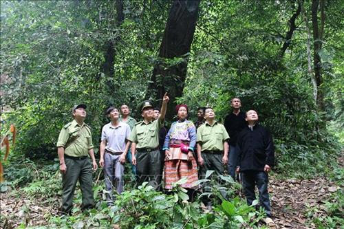 Cán bộ kiểm lâm huyện Văn Yên tuyên truyền người dân nâng cao ý thức bảo vệ rừng. Ảnh: Đức Tưởng - TTXVN Cán bộ kiểm lâm huyện Văn Yên tuyên truyền người dân nâng cao ý thức bảo vệ rừng. Ảnh: Đức Tưởng - TTXVN