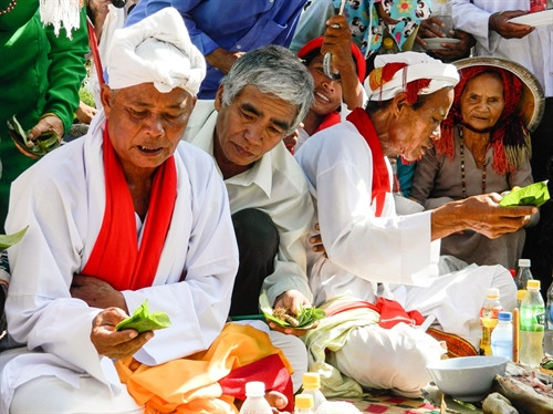 Cả sư (Po Adhia) cầm miếng trầu têm hướng về phía tháp gửi lời cầu mong, ước nguyện của các tín đồ đến thần linh Cả sư (Po Adhia) cầm miếng trầu têm hướng về phía tháp gửi lời cầu mong, ước nguyện của các tín đồ đến thần linh