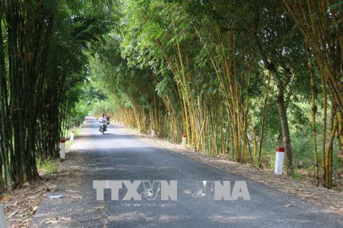 Bộ sưu tập tre là một trong những công trình thuộc Dự án “Khu bảo tồn tre gắn với Khu Du lịch sinh thái Gáo Giồng” tại ấp Gáo Giồng, huyện Cao Lãnh, tỉnh Đồng Tháp. Ảnh: Nguyễn Văn Trí - TTXVN Bộ sưu tập tre là một trong những công trình thuộc Dự án “Khu bảo tồn tre gắn với Khu Du lịch sinh thái Gáo Giồng” tại ấp Gáo Giồng, huyện Cao Lãnh, tỉnh Đồng Tháp. Ảnh: Nguyễn Văn Trí - TTXVN