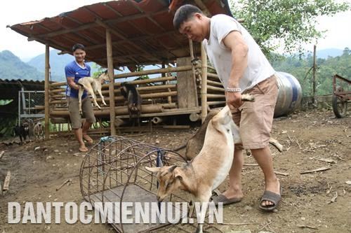 Nhờ được chuyển giao công nghệ, đồng bào xã Chu Hương tự sửa chữa máy nông nghiệp phục vụ sản xuất Khai thác và chế biến lâm sản tăng thêm thu nhập ở thôn Nà Đúc 2, xã Địa Linh Cán bộ khuyến nông huyện hướng dẫn đồng bào thôn Nà Lìn, xã Địa Linh chăm sóc cây hàng hóa mướp đắng rừng Đồng bào xã Cao Trĩ đưa máy móc vào làm đất sản xuất nông nghiệp Đồng bào bản Phiêng Phường xã Mỹ Phương thu hoạch ngô vụ xuân Cơ sở sản xuất chè của hợp tác xã chè Mỹ Phương Tư thương thu mua dê giống tại nhà anh Nông Văn Tiệp thôn Nà Phiêng, xã Mỹ Phương Bà con nông dân xã Chu Hương cấy vụ lúa hè thu Bà con thôn Nà Đông sinh hoạt tại nhà văn hóa xã Chu Hương Đường vào thôn Nà Đông, xã Chu Hương được làm bằng nguồn vốn chương trình 30a