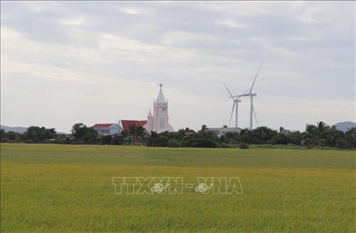 Cảnh làng quê thanh bình của xứ đạo Gò Thao (xã Tân Hải). Ảnh: Nguyễn Thành - TTXVN Cảnh làng quê thanh bình của xứ đạo Gò Thao (xã Tân Hải). Ảnh: Nguyễn Thành - TTXVN
