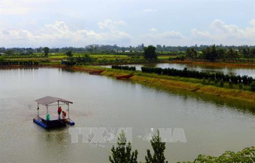 Giai đoạn 2017 - 2020, thành phố Cần Thơ sẽ ứng dụng khoa học và công nghệ mới trong lĩnh vực nuôi cá tra, xây dựng vùng ương và nuôi cá tra tập trung phù hợp với quy hoạch vùng Đồng bằng sông Cửu Long. Trong ảnh: Vùng nuôi cá tra thương phẩm tại khu vực phường Tân Lộc (quận Thốt Nốt). Ảnh: Thanh Liêm – TTXVN Giai đoạn 2017 - 2020, thành phố Cần Thơ sẽ ứng dụng khoa học và công nghệ mới trong lĩnh vực nuôi cá tra, xây dựng vùng ương và nuôi cá tra tập trung phù hợp với quy hoạch vùng Đồng bằng sông Cửu Long. Trong ảnh: Vùng nuôi cá tra thương phẩm tại khu vực phường Tân Lộc (quận Thốt Nốt). Ảnh: Thanh Liêm – TTXVN