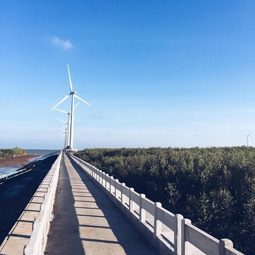 Đến Bạc Liêu ngắm “cánh đồng quạt gió” đẹp như trời Tây ảnh 7