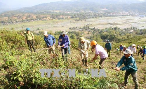 Cán bộ Hạt Kiểm lâm huyện Than Uyên (Lai Châu) hướng dẫn người dân làm đường băng cản lửa. Ảnh: Việt Hoàng - TTXVN