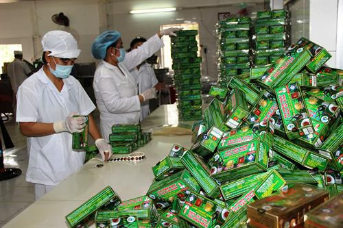 Công đoạn hoàn thiện sản phẩm trà Hoàn Ngọc. Ảnh: Lê Đức Hoảnh - TTXVN Công đoạn hoàn thiện sản phẩm trà Hoàn Ngọc. Ảnh: Lê Đức Hoảnh - TTXVN