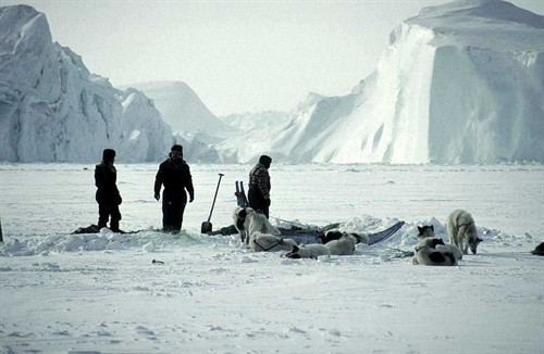 Cuộc sống ở nơi vùng cực của người Eskimo ảnh 6