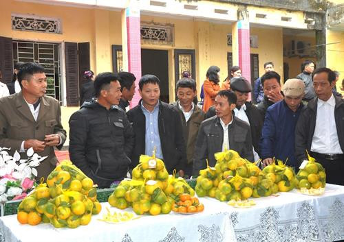 Du khách tham quan các gian trưng bày sản phẩm cam Quảng Châu, thành phố Hưng Yên. Ảnh: Mai Ngoan-TTXVN