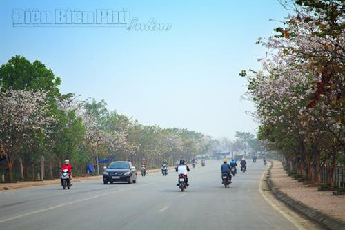 Thung lũng mây trên đỉnh đèo Pha Đin. Khung cảnh thanh bình trên cánh đồng Mường Thanh. Ảnh: V.T.C Bản của người Khơ Mú (xã Keo Lôm, huyện Điện Biên Đông). Ảnh: V.T.C Một góc thị xã Mường Lay. Ảnh: V.T.C Thung lũng Nậm Cổ Hú (xã Thanh Nưa, huyện Điện Biên). Ảnh: V.T.C Mùa hoa ban nở. Ảnh: V.T.C Đây là loại hoa đặc trưng ở vùng Tây Bắc. Ảnh: V.T.C Hoa ban tràn ngập khắp bản làng Điện Biên. Ảnh: V.T.C Vẻ đẹp tinh khiết, mong manh của hoa ban làm say đắm lòng người. Ảnh: V.T.C Hoa ban ngợp trên phố. Ảnh: V.T.C Loài hoa trắng này gắn với câu chuyện về một tình yêu bất tử nơi núi rừng. Ảnh: V.T.C Thung lũng mây trên đỉnh đèo Pha Đin. Khung cảnh thanh bình trên cánh đồng Mường Thanh. Ảnh: V.T.C Bản của người Khơ Mú (xã Keo Lôm, huyện Điện Biên Đông). Ảnh: V.T.C Một góc thị xã Mường Lay. Ảnh: V.T.C Thung lũng Nậm Cổ Hú (xã Thanh Nưa, huyện Điện Biên). Ảnh: V.T.C Mùa hoa ban nở. Ảnh: V.T.C Đây là loại hoa đặc trưng ở vùng Tây Bắc. Ảnh: V.T.C Hoa ban tràn ngập khắp bản làng Điện Biên. Ảnh: V.T.C Vẻ đẹp tinh khiết, mong manh của hoa ban làm say đắm lòng người. Ảnh: V.T.C Hoa ban ngợp trên phố. Ảnh: V.T.C Loài hoa trắng này gắn với câu chuyện về một tình yêu bất tử nơi núi rừng. Ảnh: V.T.C