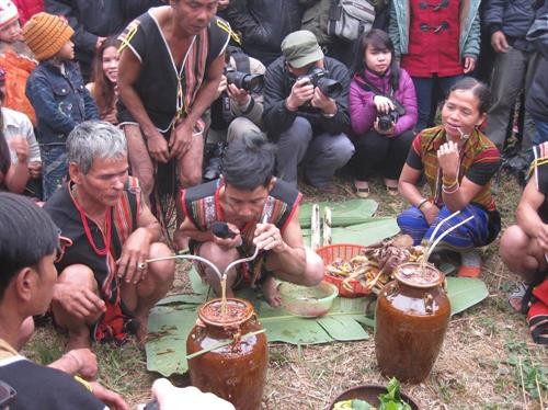 Ảnh: Nguồn Internet