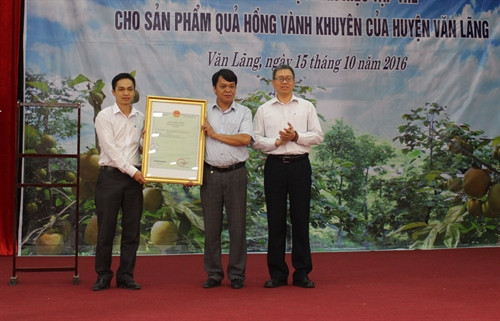 Lãnh đạo Cục Sở hữu trí tuệ Việt Nam và Sở Khoa học và Công nghệ tỉnh Lạng Sơn trao văn bằng công nhận nhãn hiệu tập thể "Hồng vành khuyên Văn Lãng" cho đại diện UBND huyện Văn Lãng. Ảnh: Hoàng Nam-TTXVN