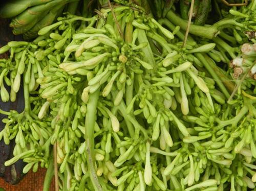 Những món rau rừng “đỉnh nhất’, ăn là nghiện của vùng Tây Bắc ảnh 5 Những món rau rừng “đỉnh nhất’, ăn là nghiện của vùng Tây Bắc ảnh 5